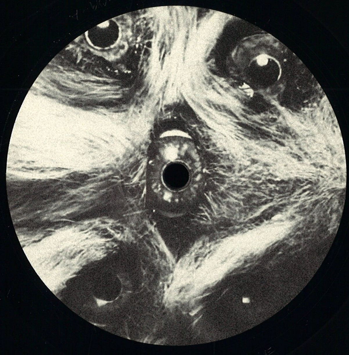 Antoni Maiovvi  - The Ken Russell E