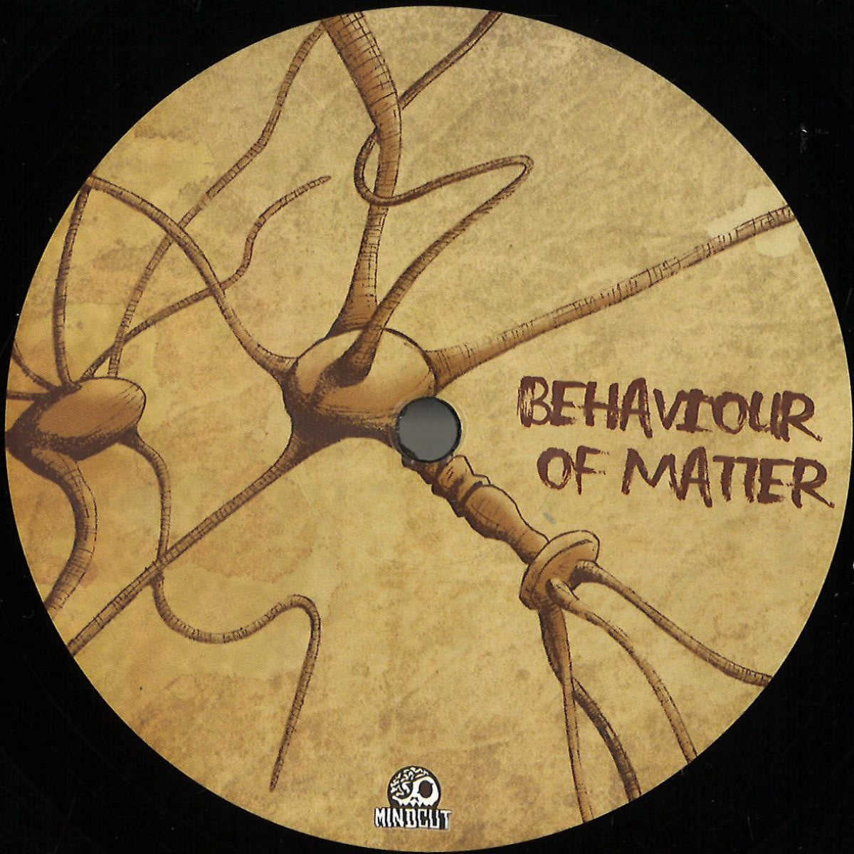 Various Behaviour Of Matter